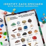 Kids' Gemstone and Fossil Science Kit - 300 Pieces