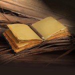 Leather Gothic Journal Magical Raven Skull Spiral Notebook Mystery Crow Journal Grimoire Witchcraft Spellwork Journal Great for Halloween and Raven Lovers Aesthetic Leather Journal for Men and Women