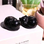 Black Obsidian Cat Crystal Figurine for Home Decor