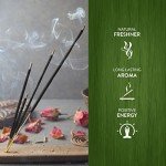 Hem Forest Incense Sticks 6" - Relaxing Aroma