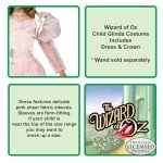 Rubie's Child's Wizard of Oz Deluxe Glinda The Good Witch Costume, Small