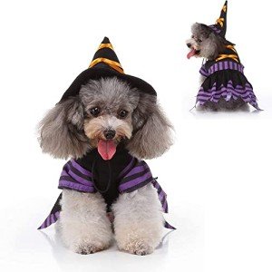 Halloween Cat Costume Cat Witch Dress Costume Pet Clothes Dog Costume with Adjustable Witch Hat Pet Dog Cat Cosplay Apparel Outfits for Small Medium Large Dog Cat Pet (M)