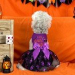 XPUDAC Halloween Dog Dress Witch Tulle Dress Holiday Dog Clothes for Small Dogs Girl, Spider Pet Costume Cat Apparel, Purple-XXS