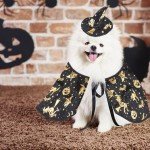 Estivaux Pet Halloween Costumes Dogs Cats Halloween Witch Pet Costume Cape Hat Halloween Vampire Cloak Wizard Cats Cosplay Clothes Apparel for Small Dogs Cats Halloween Party Decorations