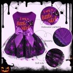 XPUDAC Halloween Dog Dress Witch Tulle Dress Holiday Dog Clothes for Small Dogs Girl, Spider Pet Costume Cat Apparel, Purple-XXS