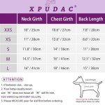 XPUDAC Halloween Dog Dress Witch Tulle Dress Holiday Dog Clothes for Small Dogs Girl, Spider Pet Costume Cat Apparel, Purple-XXS