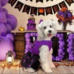 XPUDAC Halloween Dog Dress Witch Tulle Dress Holiday Dog Clothes for Small Dogs Girl, Spider Pet Costume Cat Apparel, Purple-XXS
