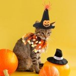 Abbylike 8 Pcs Cat Witch Halloween Costume Witch Hat and Tutu Collar with Bells for Cat Halloween Witch Pet Outfit Kitten Clothing for Small Puppy Halloween Party Pet Cosplay