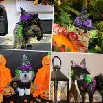 Enjoying Pet Halloween Costumes for Cats Small Dogs, Cat Witch Hat with Funny Wig, Adjustable Doggie Witch Hat Outfit, Kitten Halloween Sorcery Hat Cosplay