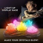 National Geographic Mega Crystal Croissant Lamp Set