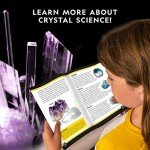National Geographic Mega Crystal Croissant Lamp Set