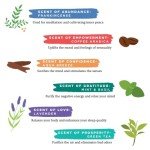 Manifesting Incenses: Frankincense & Coffee Set of 6