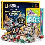 Mystical Rock Collection for Young Witches – 300 Pieces