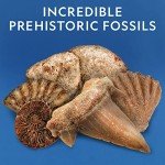 Mystical Rock Collection for Young Witches – 300 Pieces