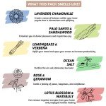 Enchanting Organic Incense Sticks - 6 Pack Blend