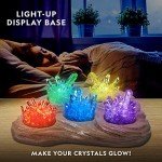 Crystal Growing Kit for Young Witches and Wizards