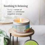 Chakra Harmony Smudge Candle - 7 Oils Blend