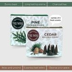 Cedar and Pine Scented Incense Cone Set