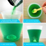 NATIONAL GEOGRAPHIC Crystal Growing Kit - 3 Vibrant Colored Crystals to Grow with Light-Up Display Stand, Science Toy for Girls and Boys Ages 8-12, Includes 3 Gems, Cool STEM Gift (Amazon Exclusive)