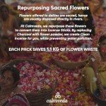 Madagascar Vanilla Incense Sticks - Cozy & Earthy