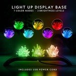 NATIONAL GEOGRAPHIC Crystal Growing Kit - 3 Vibrant Colored Crystals to Grow with Light-Up Display Stand, Science Toy for Girls and Boys Ages 8-12, Includes 3 Gems, Cool STEM Gift (Amazon Exclusive)