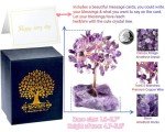Amethyst Crystal Tree for Meditation and Decor