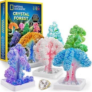 Crystal Growing Kit: Craft Your Own Magical Trees