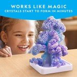 Crystal Growing Kit: Craft Your Own Magical Trees