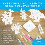 Crystal Growing Kit: Craft Your Own Magical Trees
