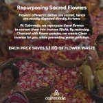 Lavender Incense Sticks for Relaxation and Sleep