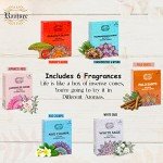 Mixed Scents Incense Cones Gift Pack - 6 Variety