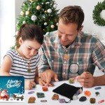 Worgree Advent Calendar 2024, 24 Days Christmas Countdown Calendar with Chakra Crystals and Healing Stones, Natural Gemstones Rock Collection Gifts for Kids Boys Girls Teens Adults Women Beginners