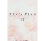 White Plum Incense Sticks - Scent of Blossoms