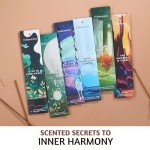 Magical Incense Sticks Set – 6 Enchanting Scents