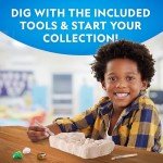 Gemstone Dig Kit – Uncover 10 Crystals and Gems