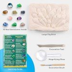 Gemstone Dig Kit – Uncover 10 Crystals and Gems