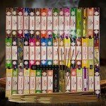 Satya Incense Sticks Variety Pack of 12 Randomly Selected Fragrances and Incense Stick Holder Bundle Total 180 Sticks