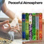 Six Most Popular HEM Incense Scents With Free Burner - 40 Sticks Each of Dragon's Blood, Frankincense & Myrrh, Patchouli, Precious Lavender, First Rain, and White Sage 240 TOTAL STICKS