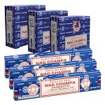 Nag Champa Incense Sticks and Nagchampa Incense Cone Variety Pack Bundle Insence-Sticks Insence Insense Insiensos