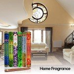 Six Most Popular HEM Incense Scents With Free Burner - 40 Sticks Each of Dragon's Blood, Frankincense & Myrrh, Patchouli, Precious Lavender, First Rain, and White Sage 240 TOTAL STICKS