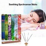 Six Most Popular HEM Incense Scents With Free Burner - 40 Sticks Each of Dragon's Blood, Frankincense & Myrrh, Patchouli, Precious Lavender, First Rain, and White Sage 240 TOTAL STICKS