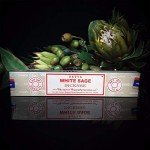 Satya Nag Champa White Sage incense sticks-12packs x 15grams by Satya