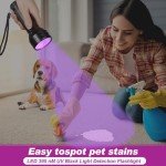 Dunzy 4 Pcs Ghost Hunting Equipment Kit Includes 1 Pocket Digital Voice Recorder 2 LED Light Up Pet Cat Ball 1 Black UV Flashlight, 8 GB (Stylish)(Classic)