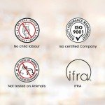 HEM Lavender Incense Sticks - 120 Pack