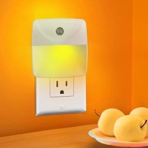 Dusk to Dawn Automatic Night Light 2 Pack