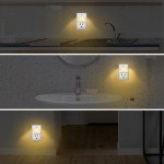 Dusk-to-Dawn Mini LED Night Lights - 2 Pack