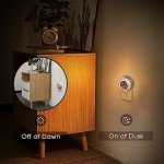 Romantic LED Night Light with Rose Design - 2 Pack