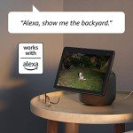Blink Wired Floodlight Camera with Alexa Integration