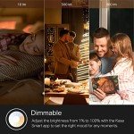 Kasa Smart LED Wi-Fi Bulb, Dimmable, Works with Alexa
