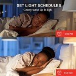 Sengled Smart LED Light Bulb with Alexa & Google